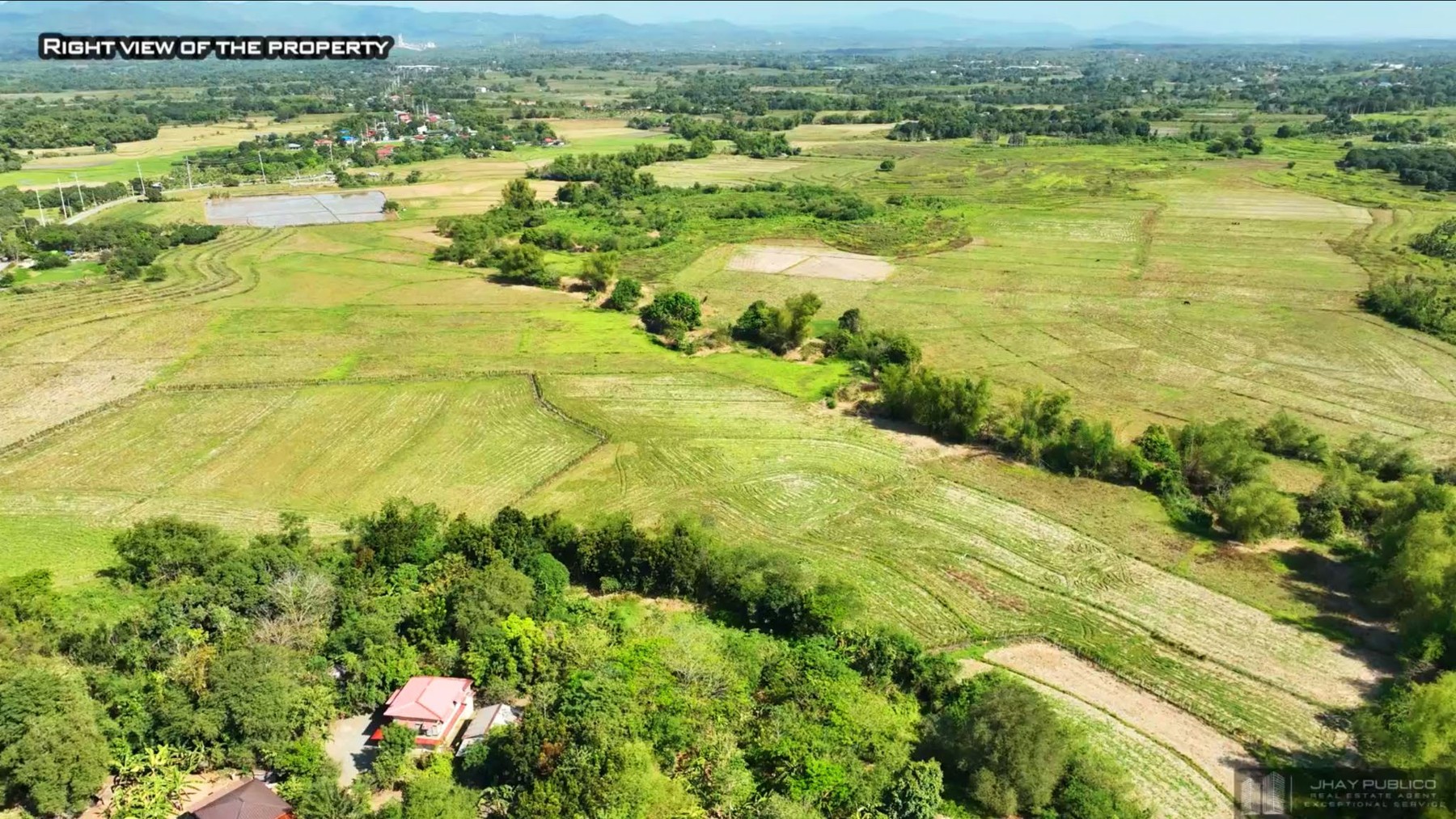 Right-side aerial view